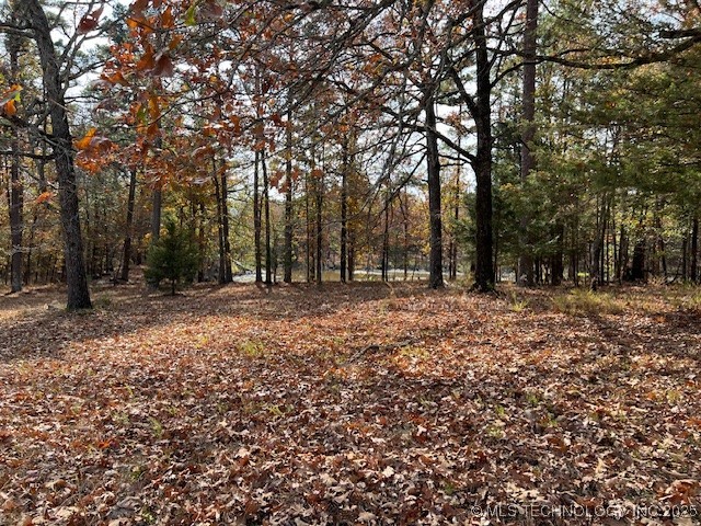 12014 State Hwy 4 Property Photo 17