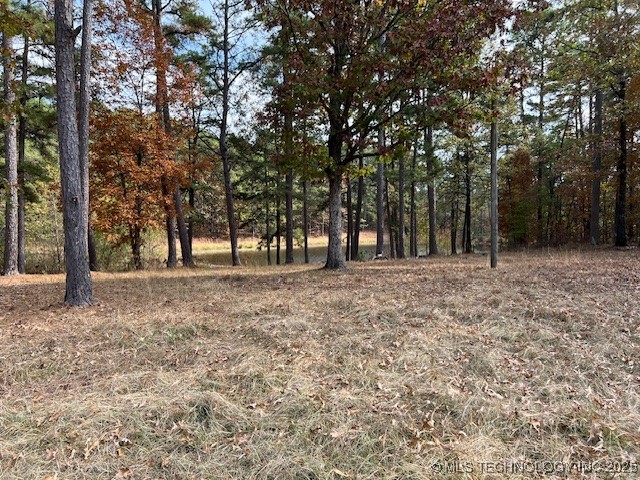 11866 State Hwy 4 Property Photo 15