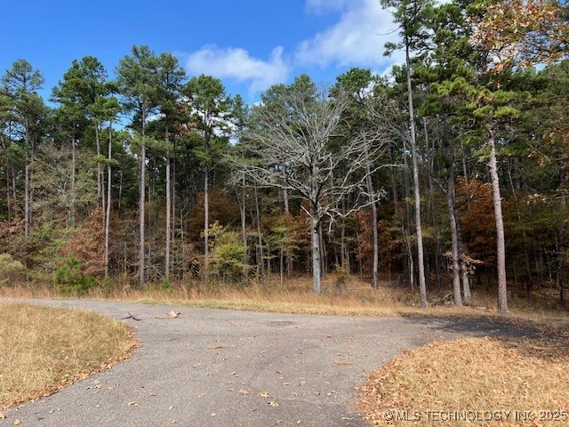 11866 State Hwy 4 Property Photo 16