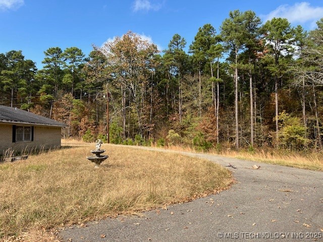 11866 State Hwy 4 Property Photo 17