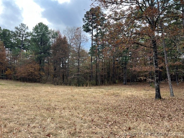 11866 State Hwy 4 Property Photo 20