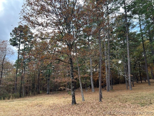 11866 State Hwy 4 Property Photo 21