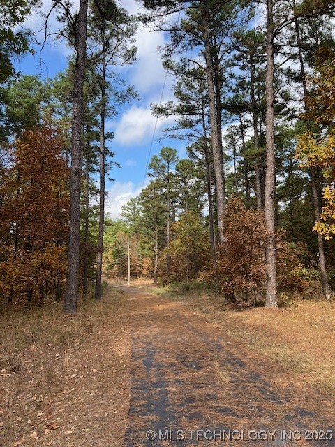 11866 State Hwy 4 Property Photo 26