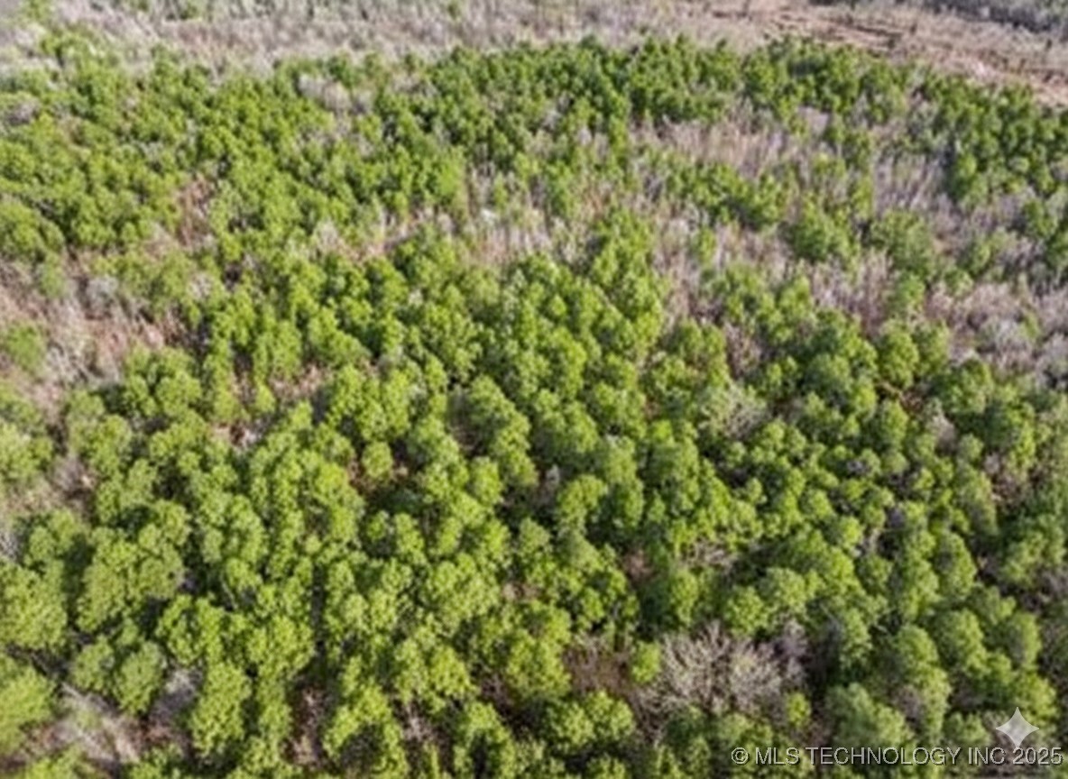 Red Road Property Photo 3