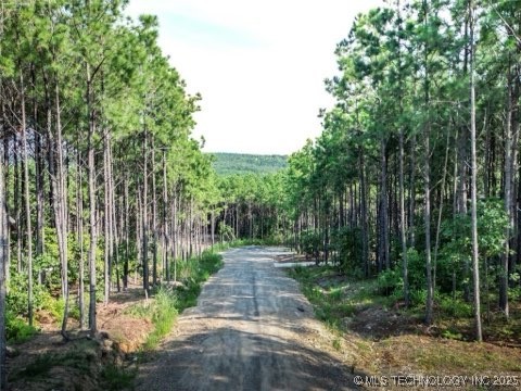 69 Bear Elm Trail Property Photo 35