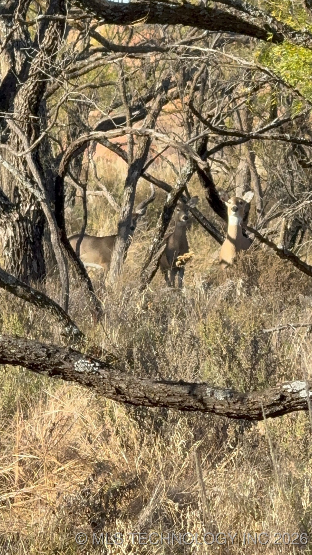 20826 E County Road 1470 Property Photo 4