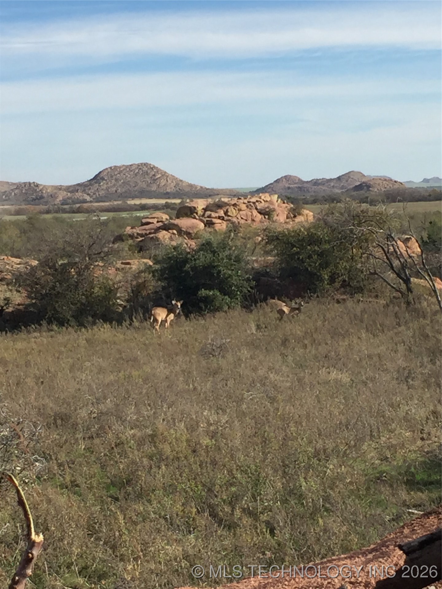 20826 E County Road 1470 Property Photo 17