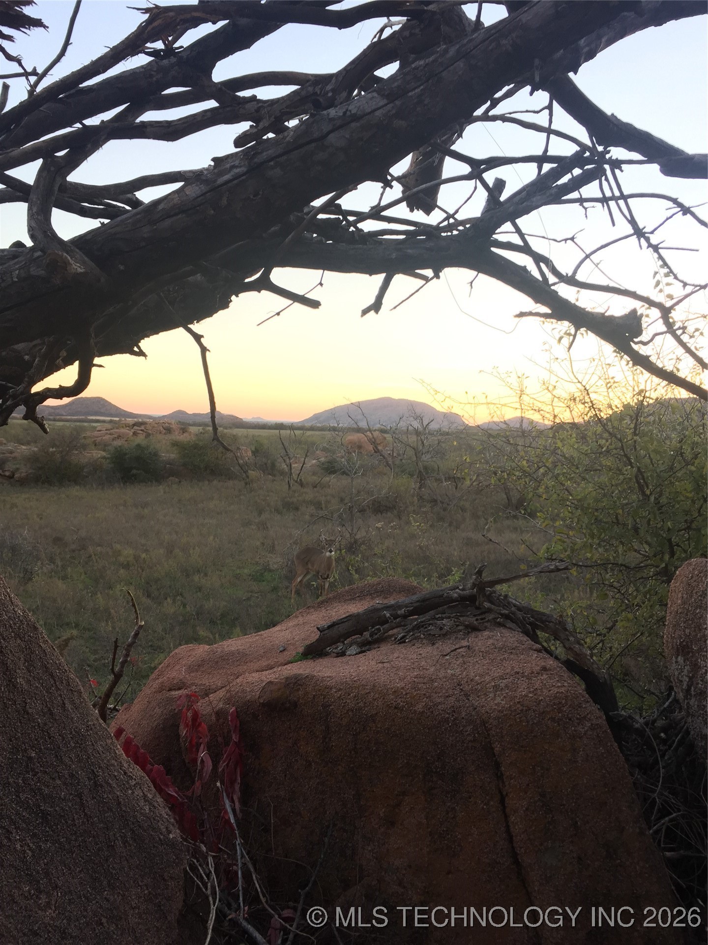 20826 E County Road 1470 Property Photo 18