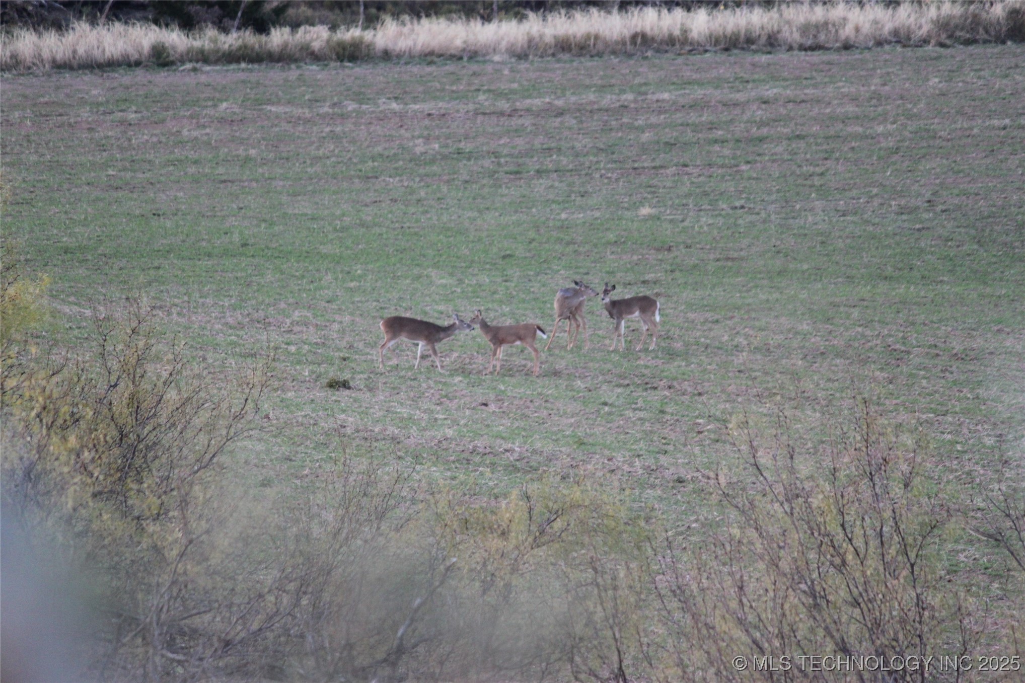 20826 E County Road 1470 Property Photo 19
