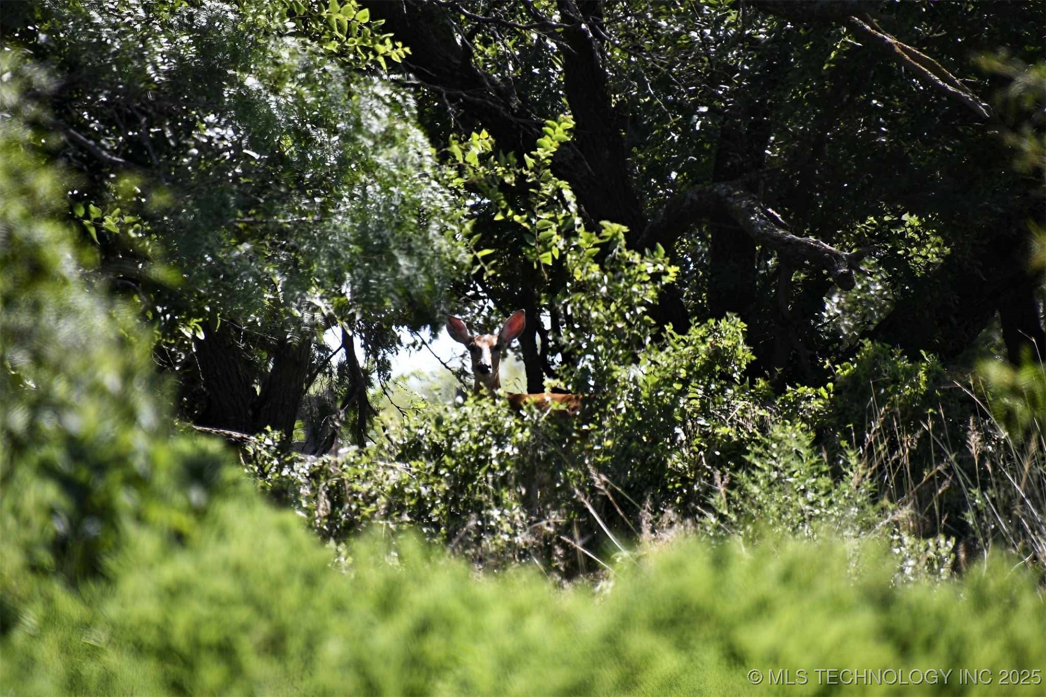 20826 E County Road 1470 Property Photo 22