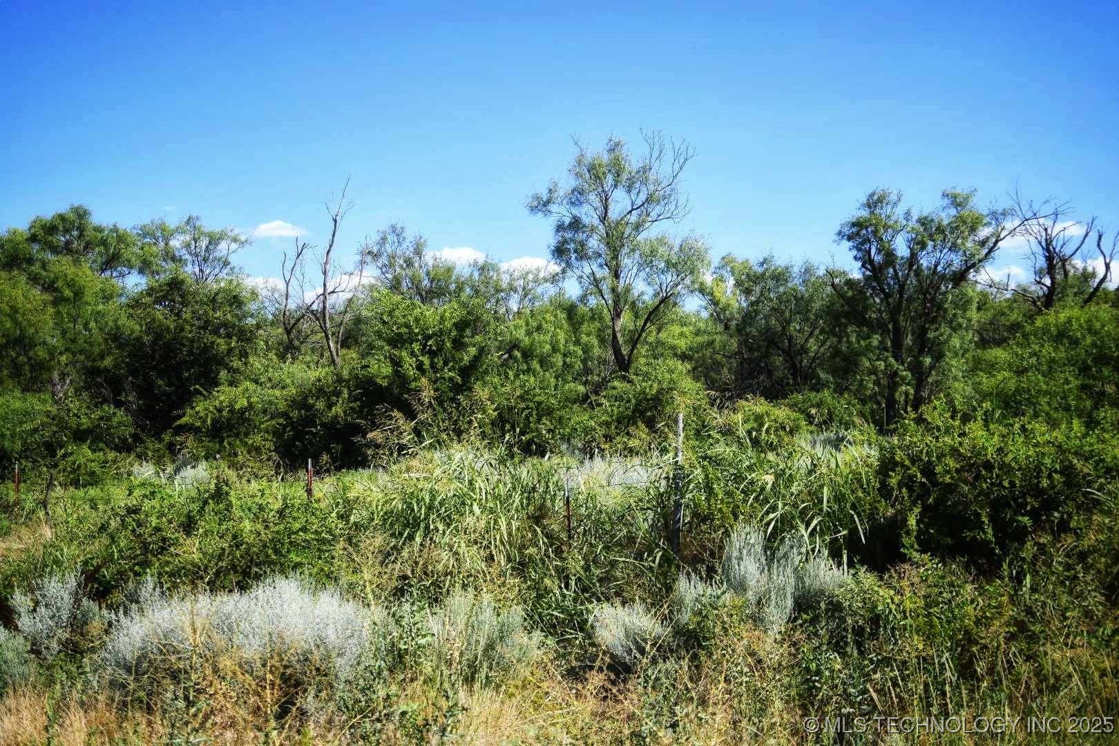 20826 E County Road 1470 Property Photo 23