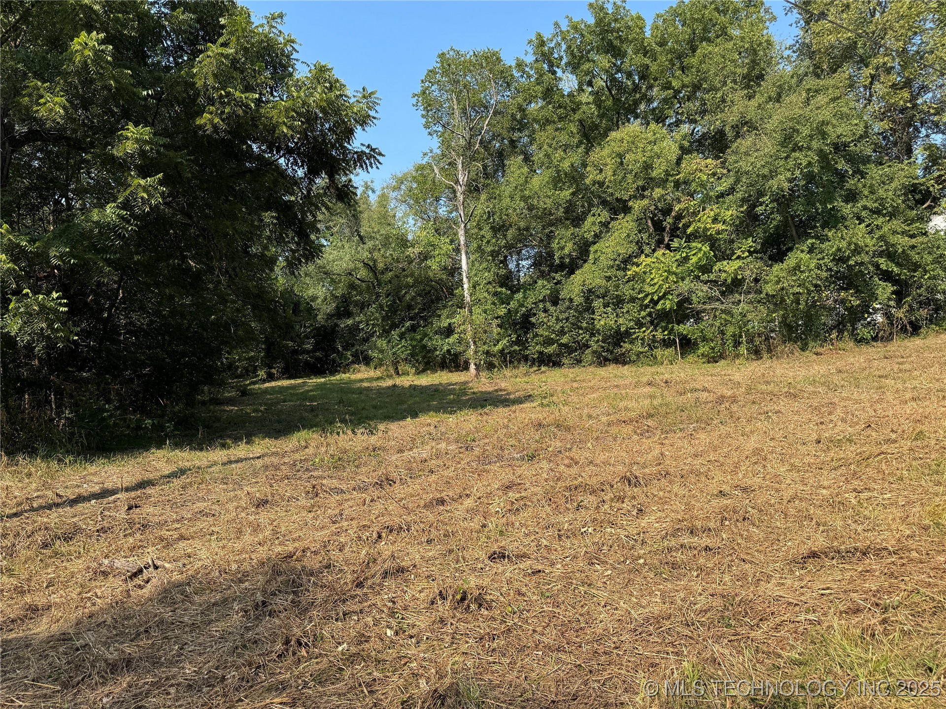 Spring Property Photo 1