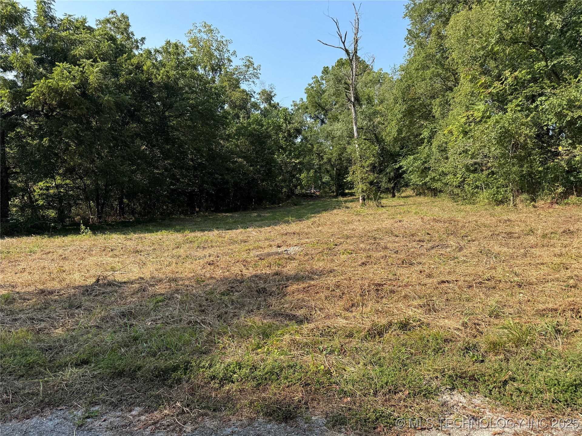 Spring Property Photo 2