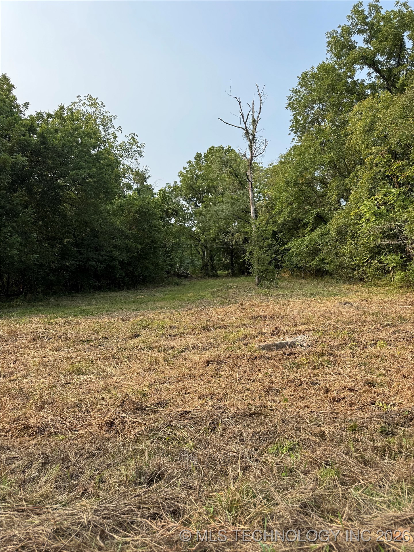 Spring Property Photo 3