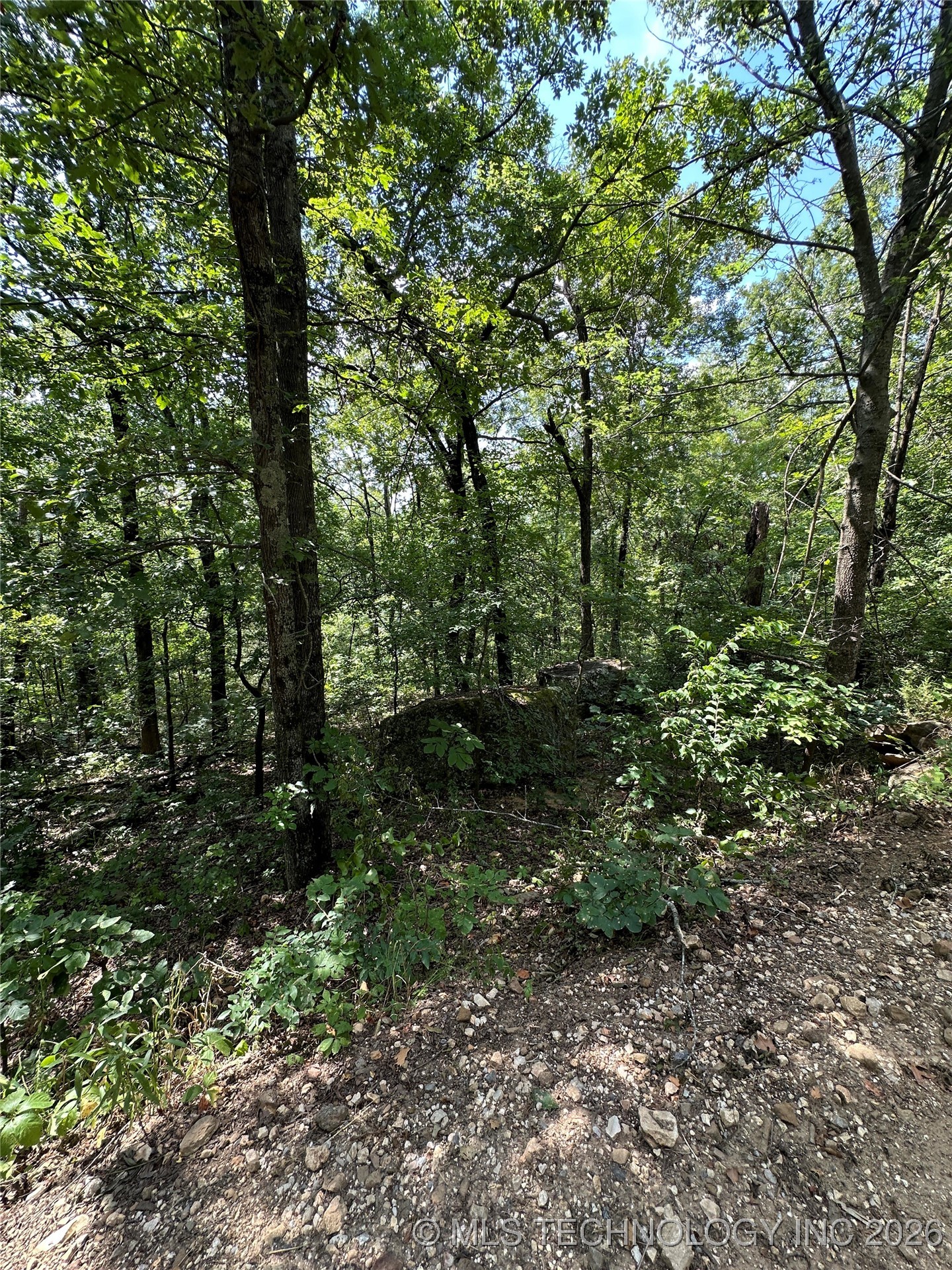 8 W Big Rock Road Property Photo 2