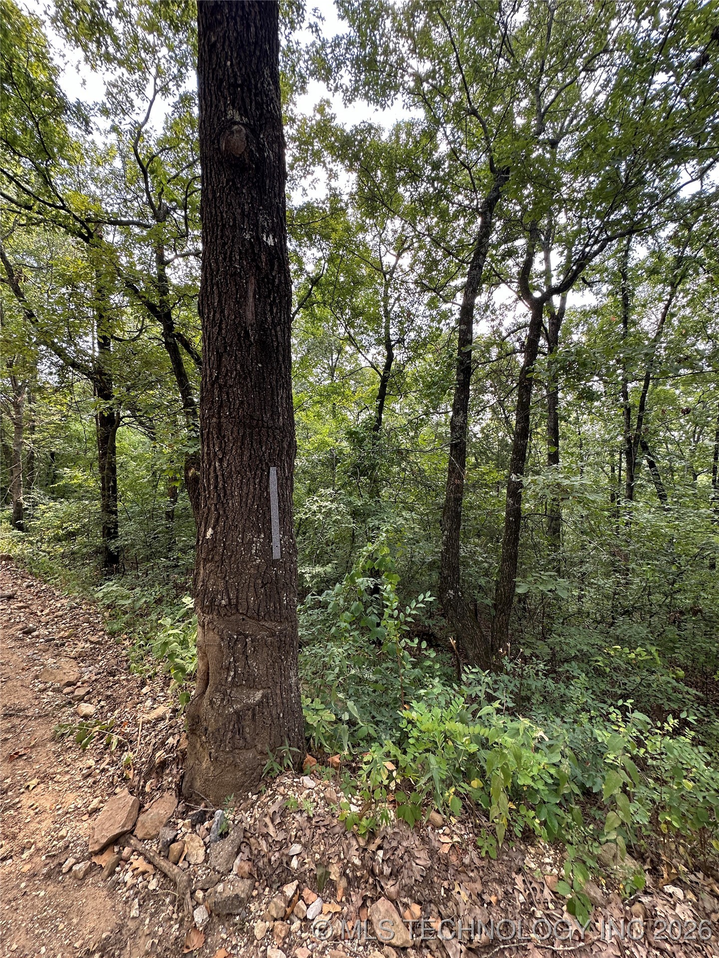 8 W Big Rock Road Property Photo 3