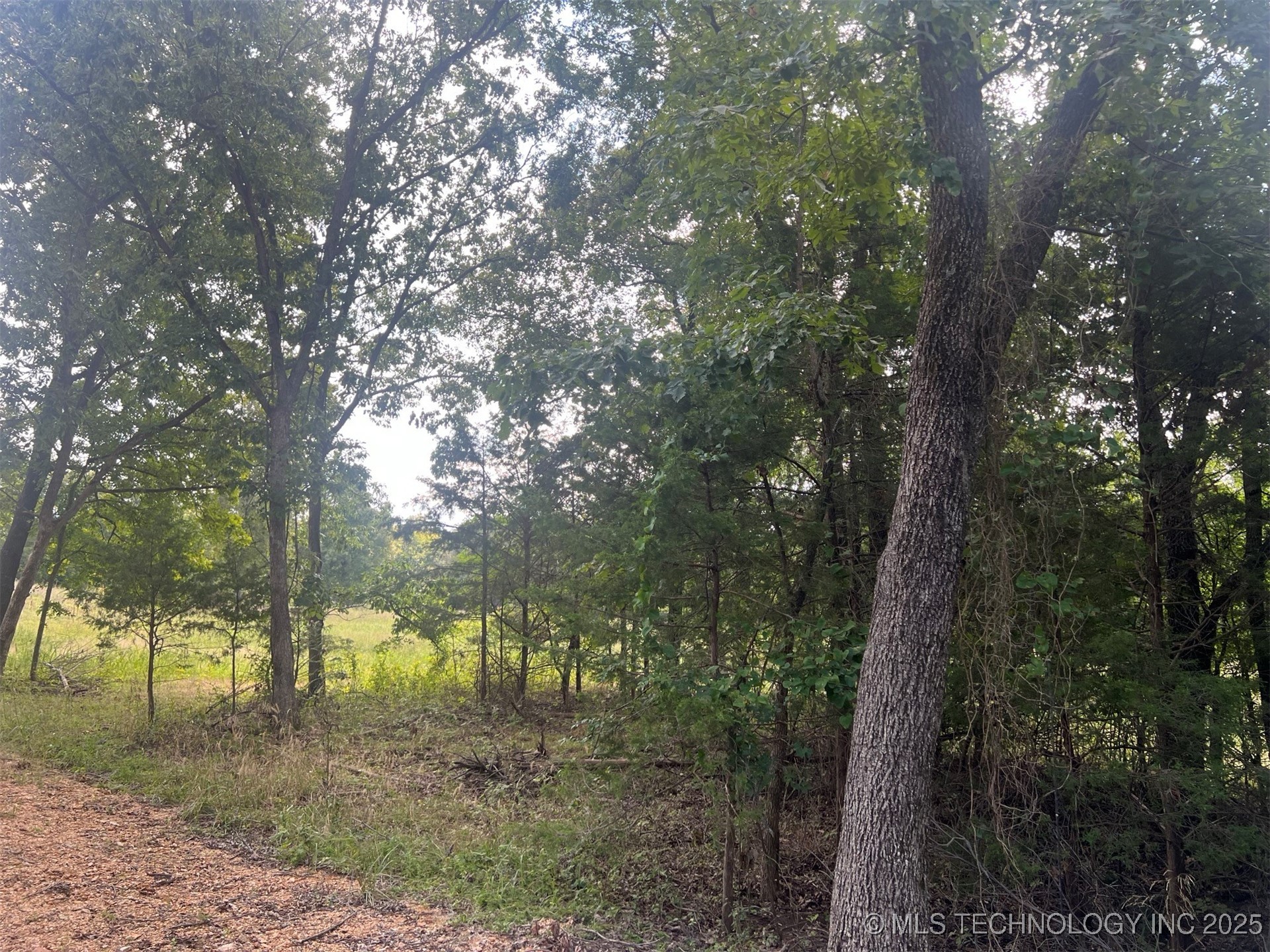 78783 S 4652 Property Photo 7