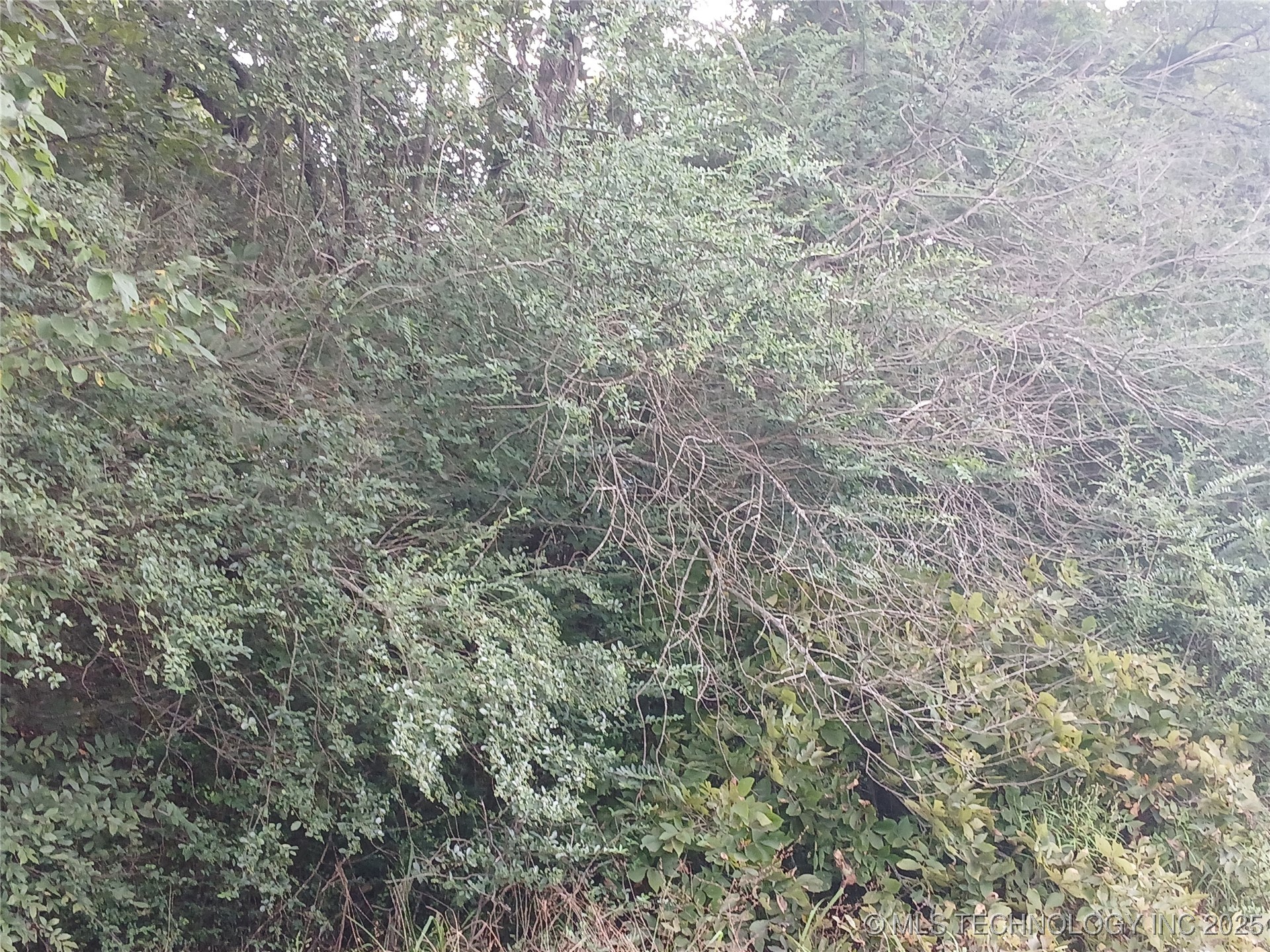 Finch Street Property Photo 1