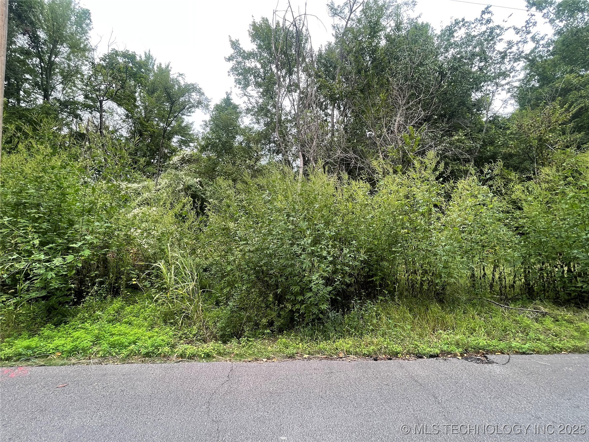 Tamaroa Street Property Photo 1