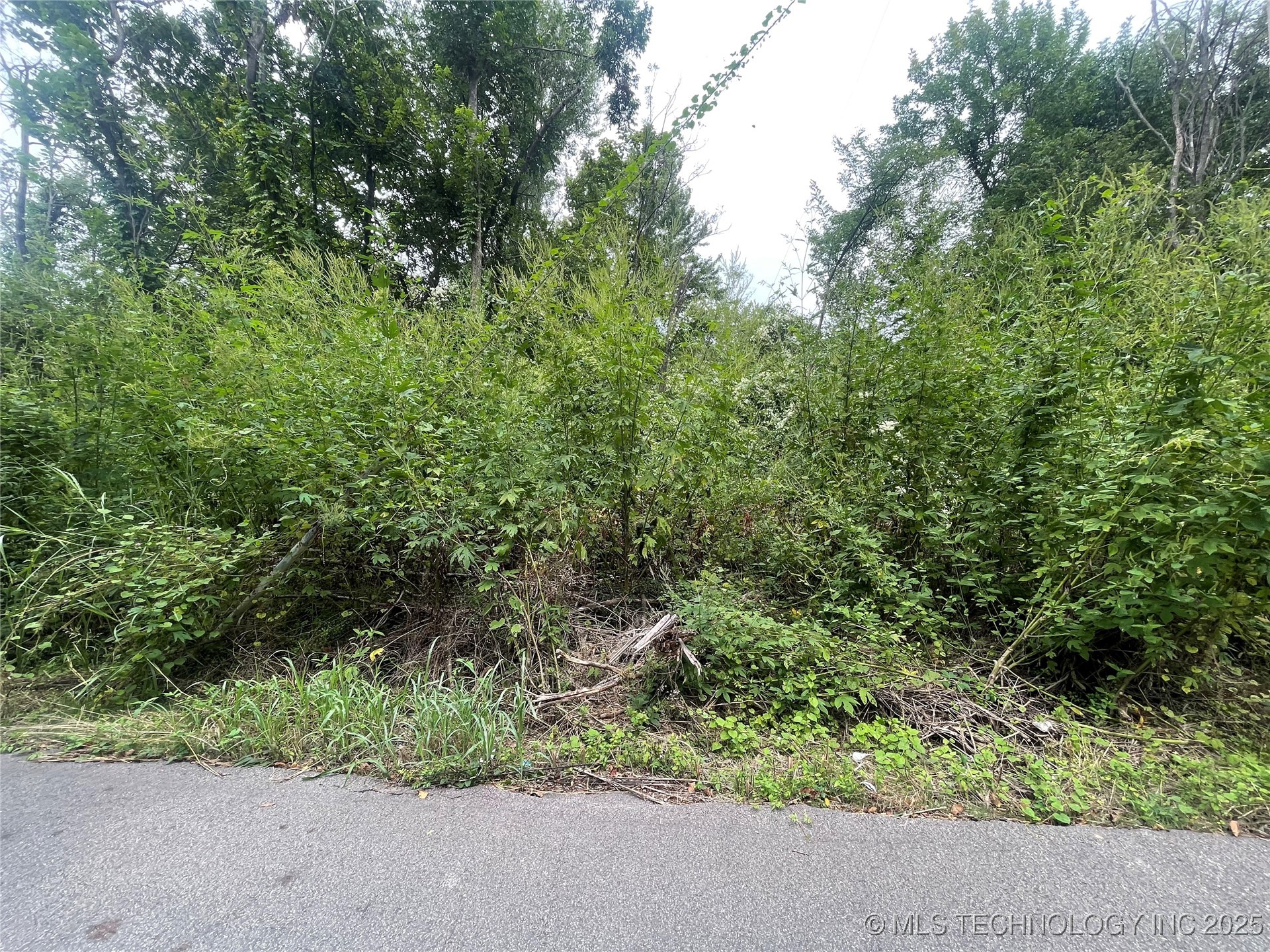 Tamaroa Street Property Photo 3