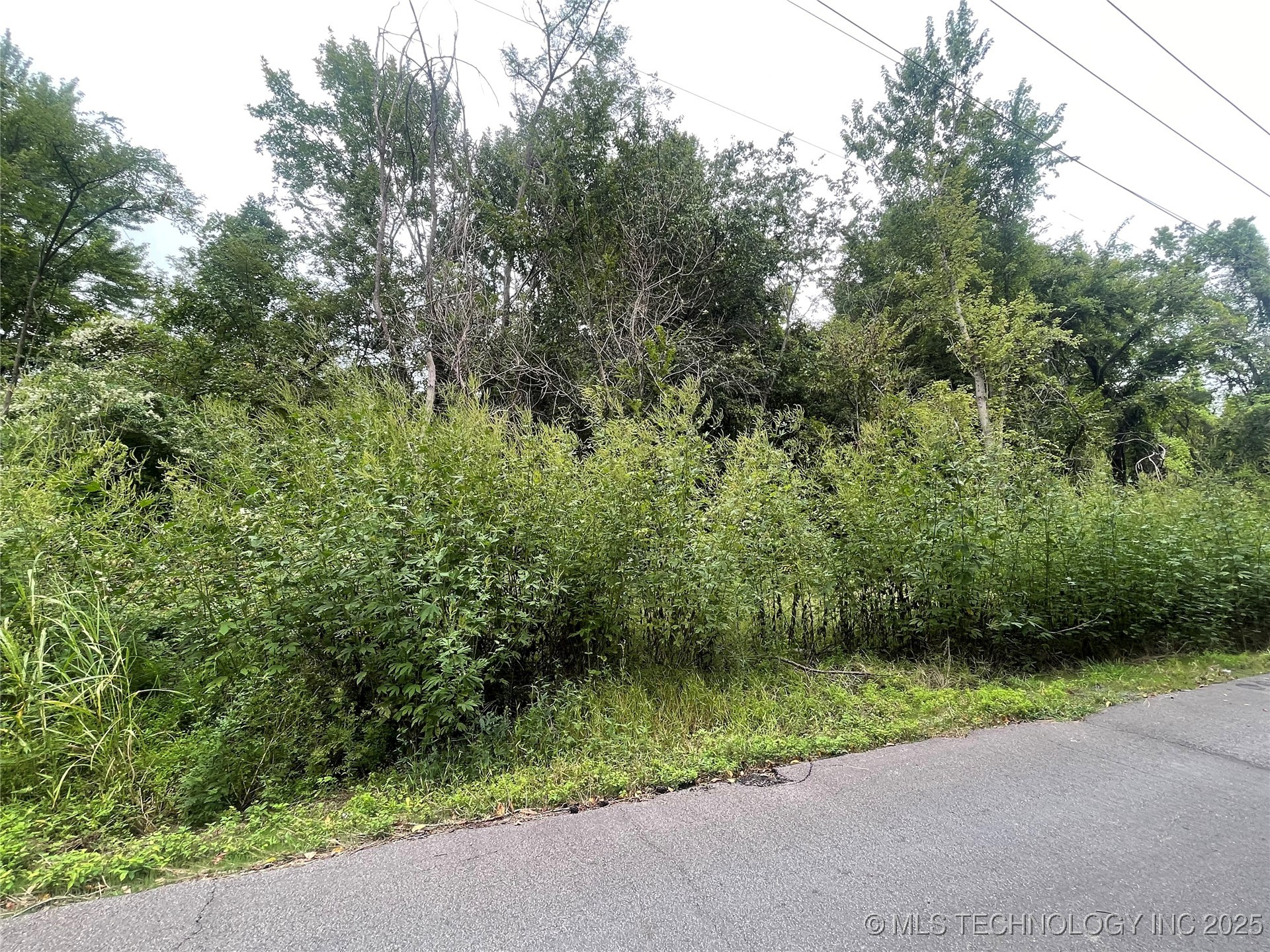 Tamaroa Street Property Photo 4