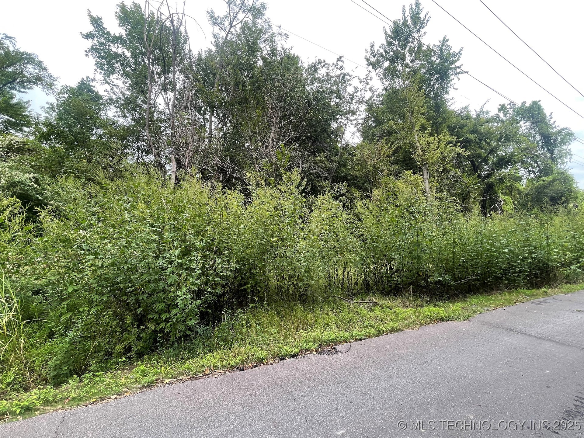 Tamaroa Street Property Photo 6