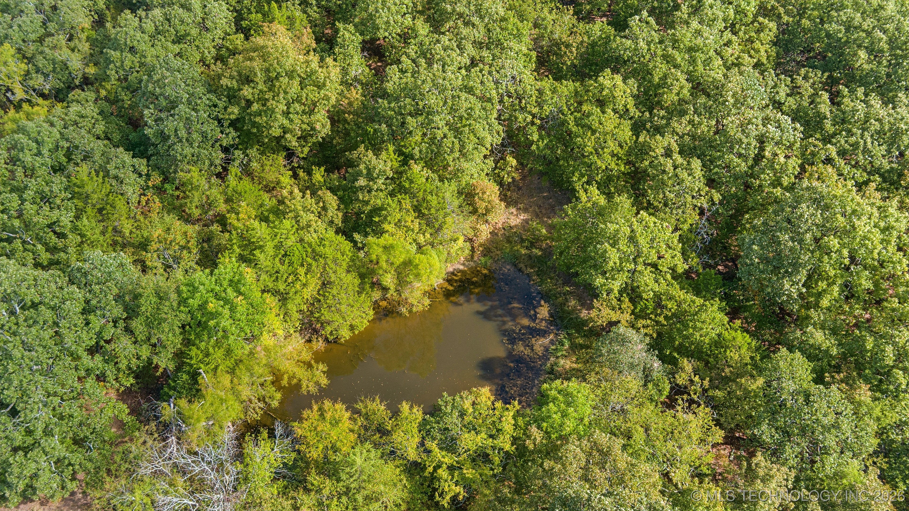 001 Blocker Road Property Photo 6