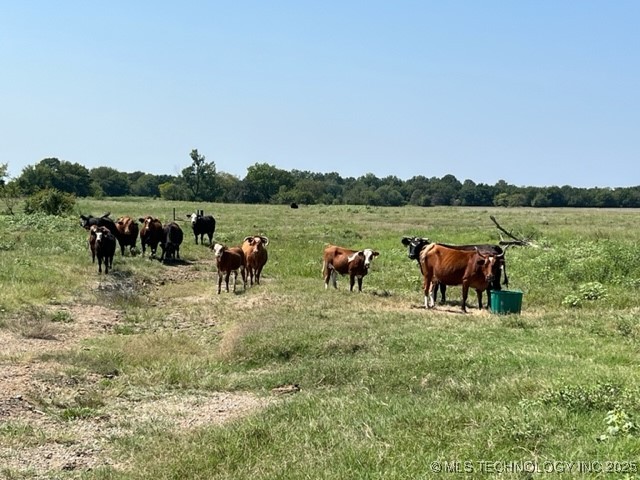18425 S 270 Road Property Photo 22
