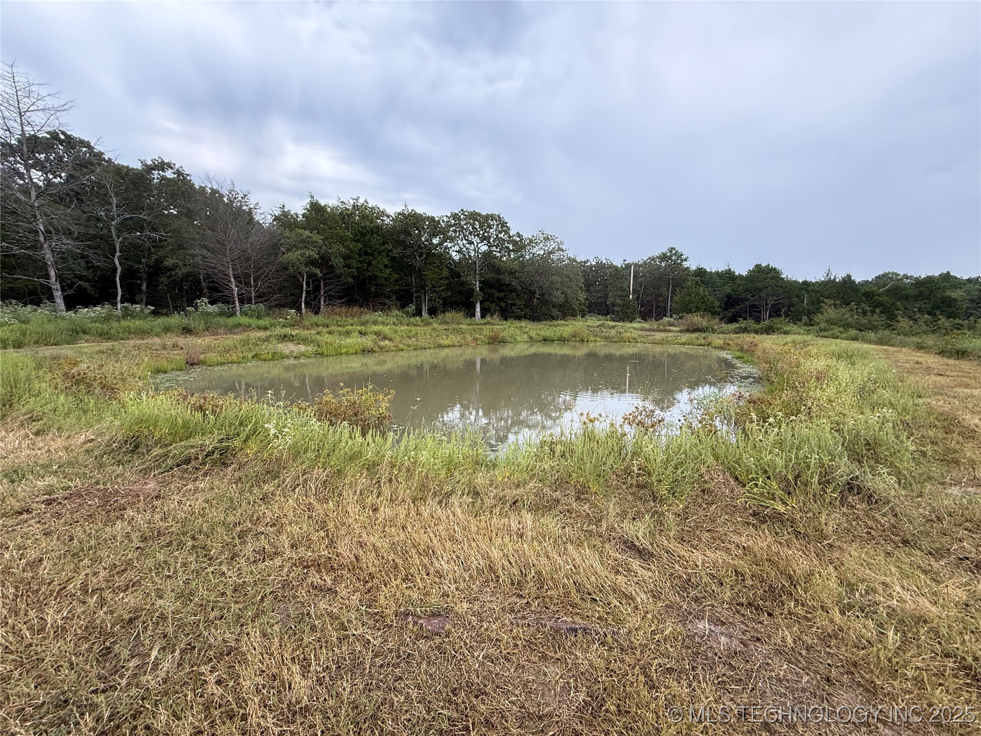 3473 Se 1083 Avenue Property Photo 11