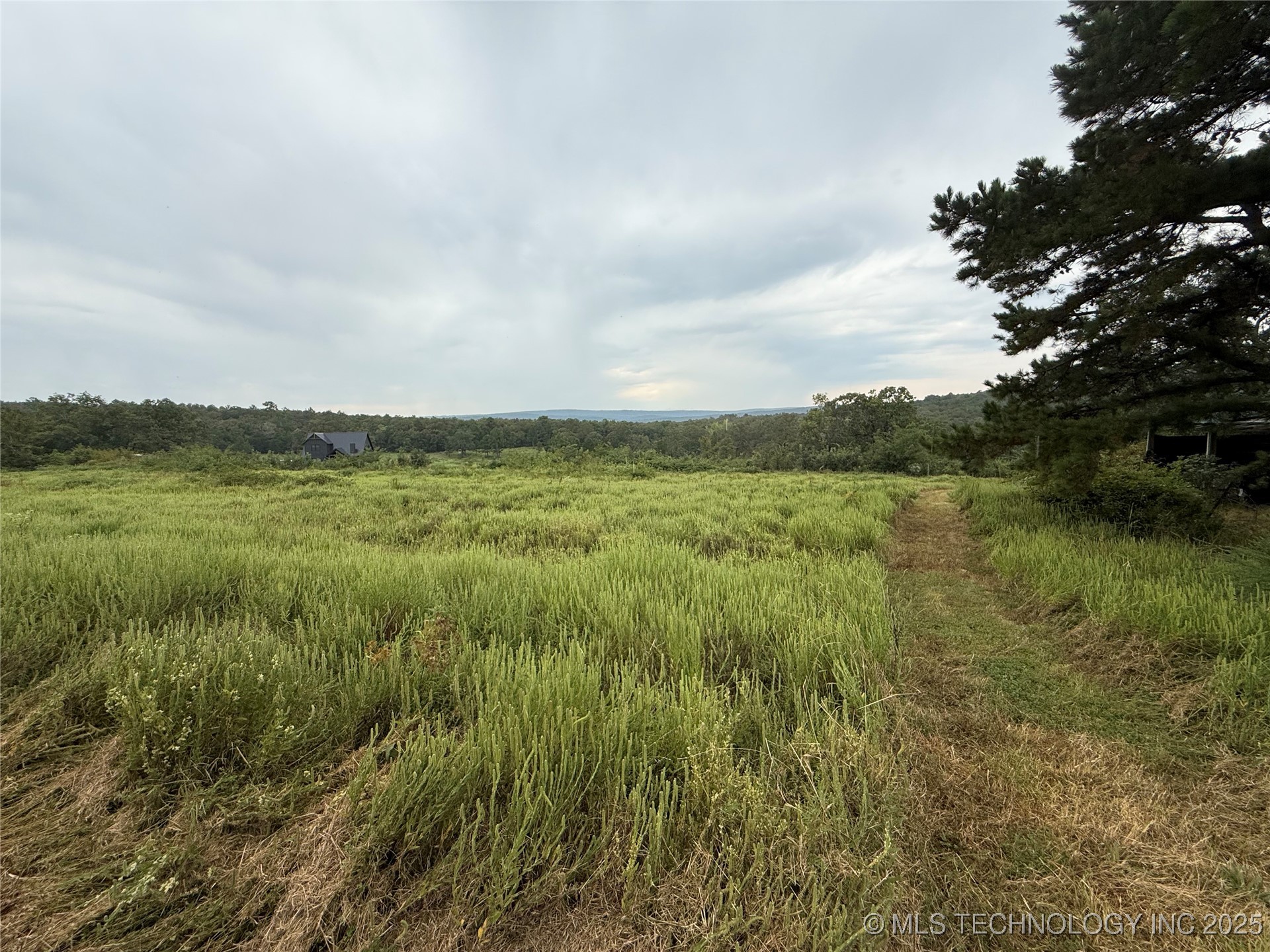 3473 Se 1083 Avenue Property Photo 18