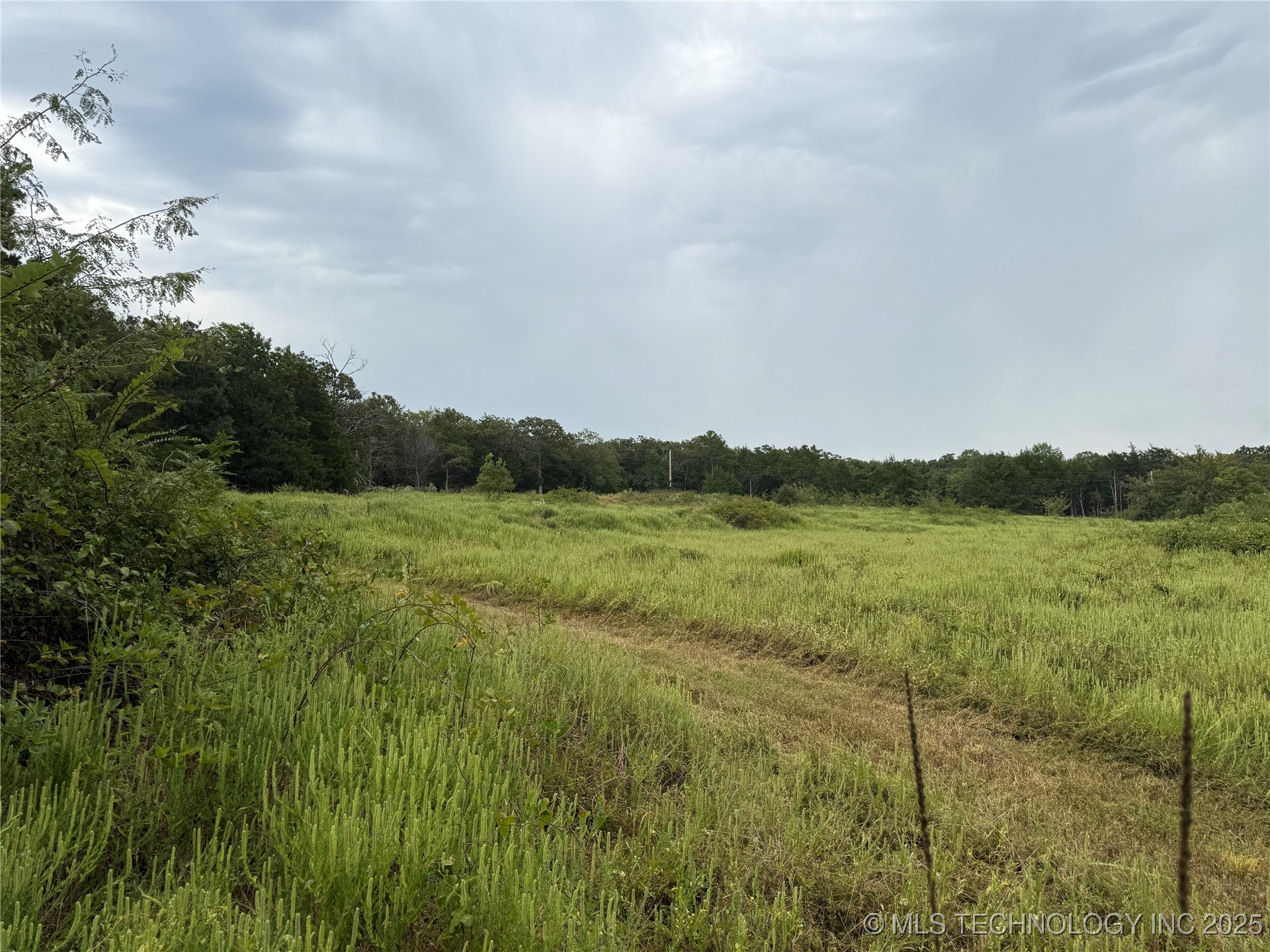 3473 Se 1083 Avenue Property Photo 19