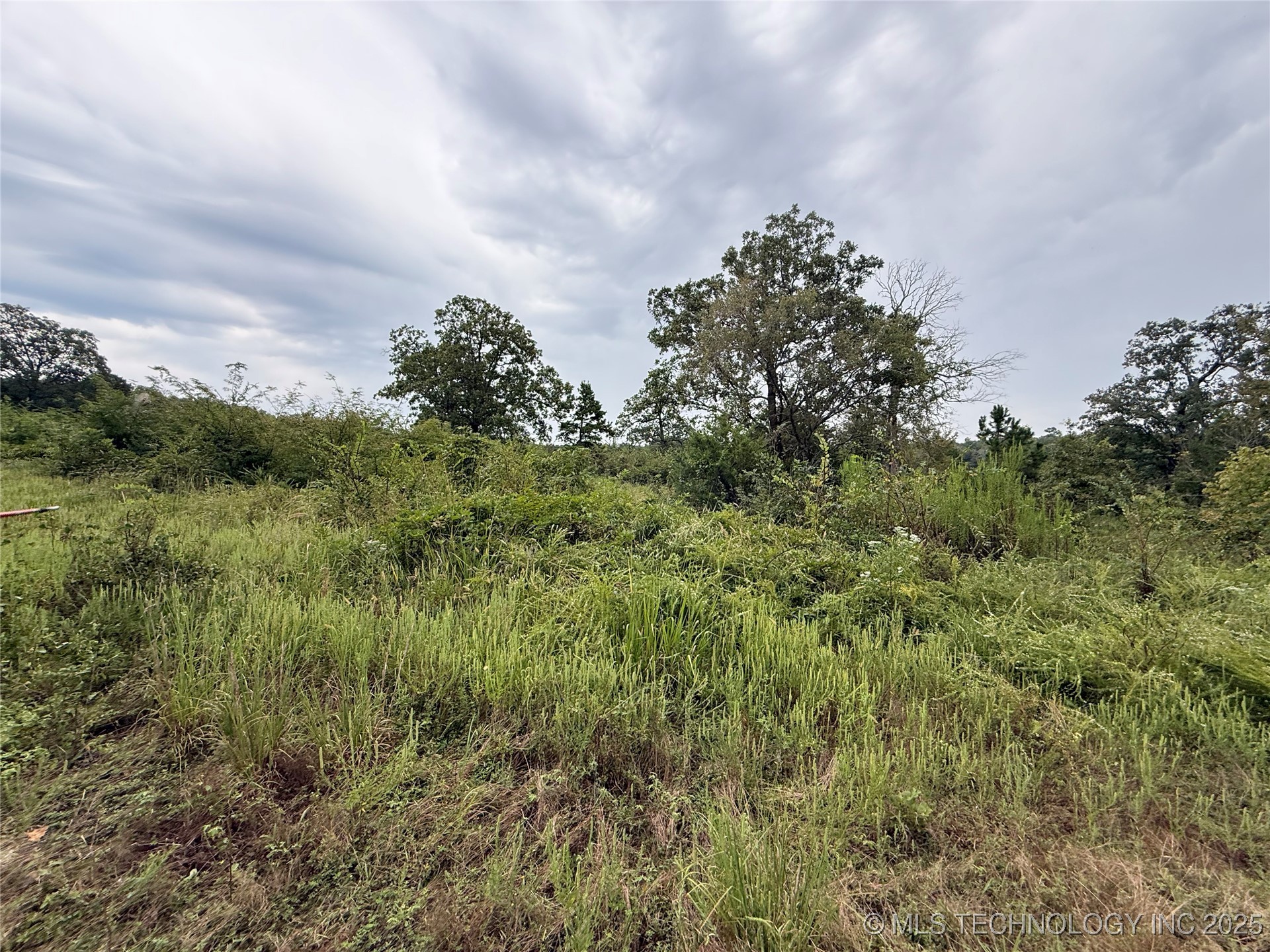 3473 Se 1083 Avenue Property Photo 20