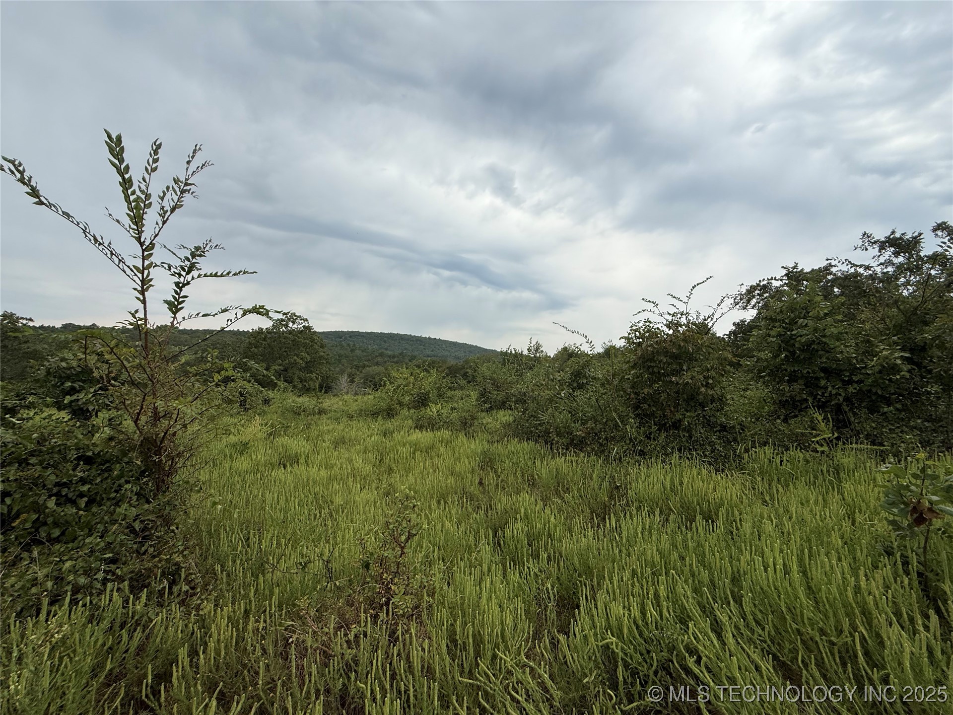 3473 Se 1083 Avenue Property Photo 21