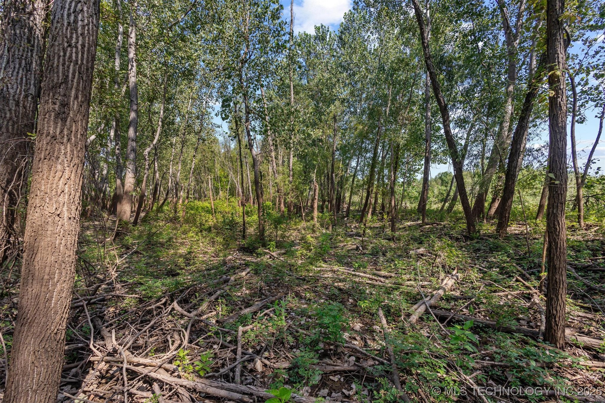 000 N 4540 Property Photo 6