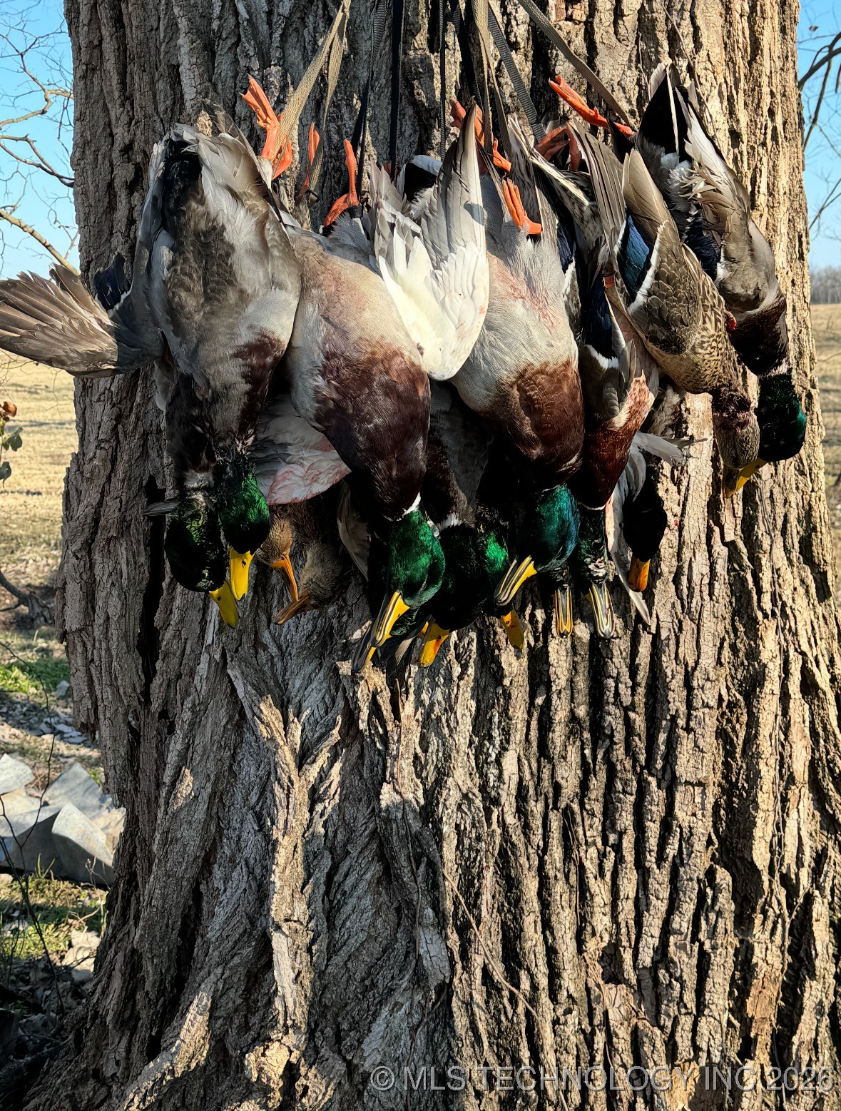 000 N 4540 Property Photo 27