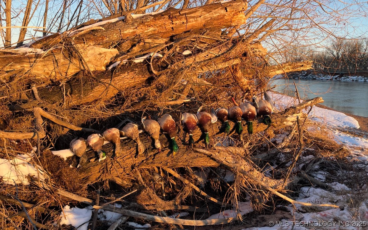 000 N 4540 Property Photo 28