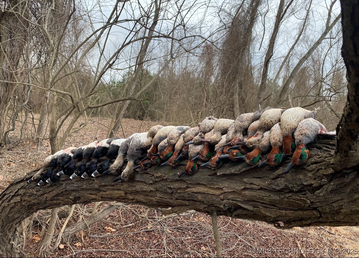 000 N 4540 Property Photo 31