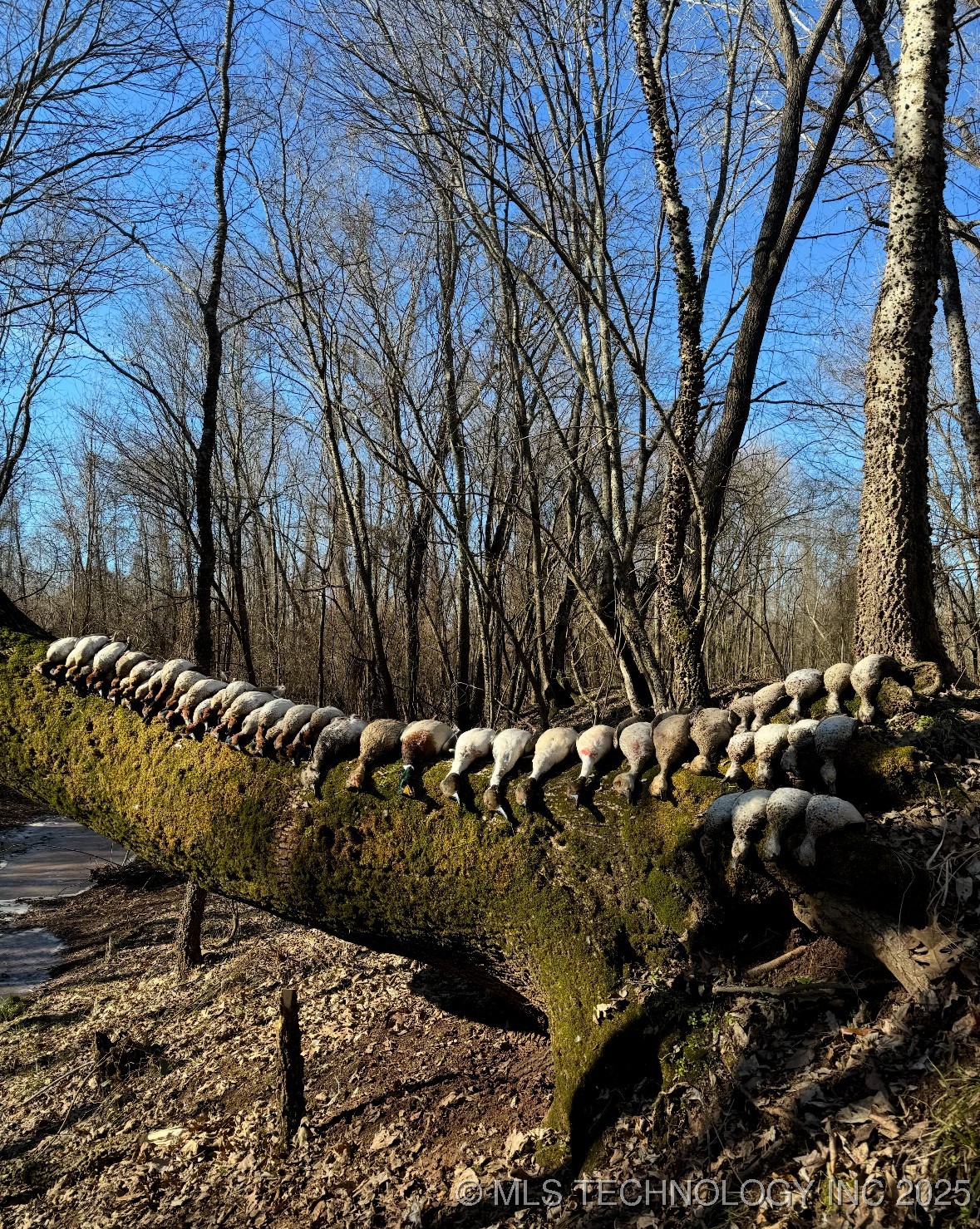 000 N 4540 Property Photo 32