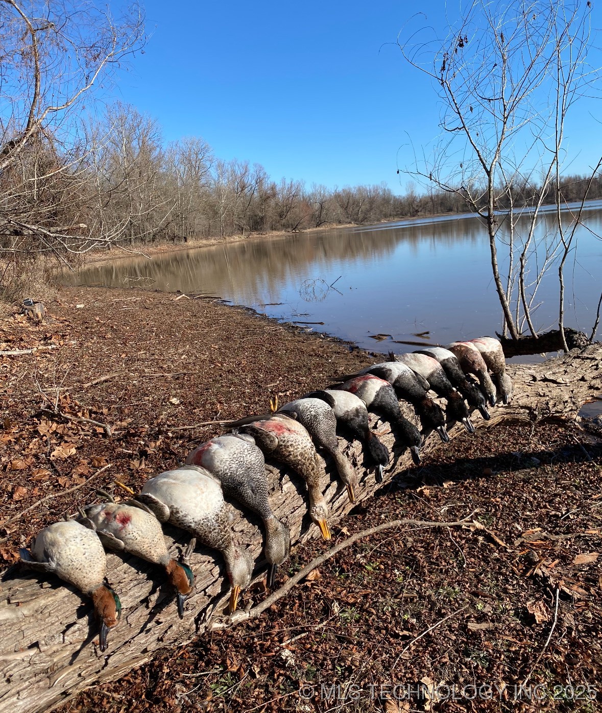 000 N 4540 Property Photo 33