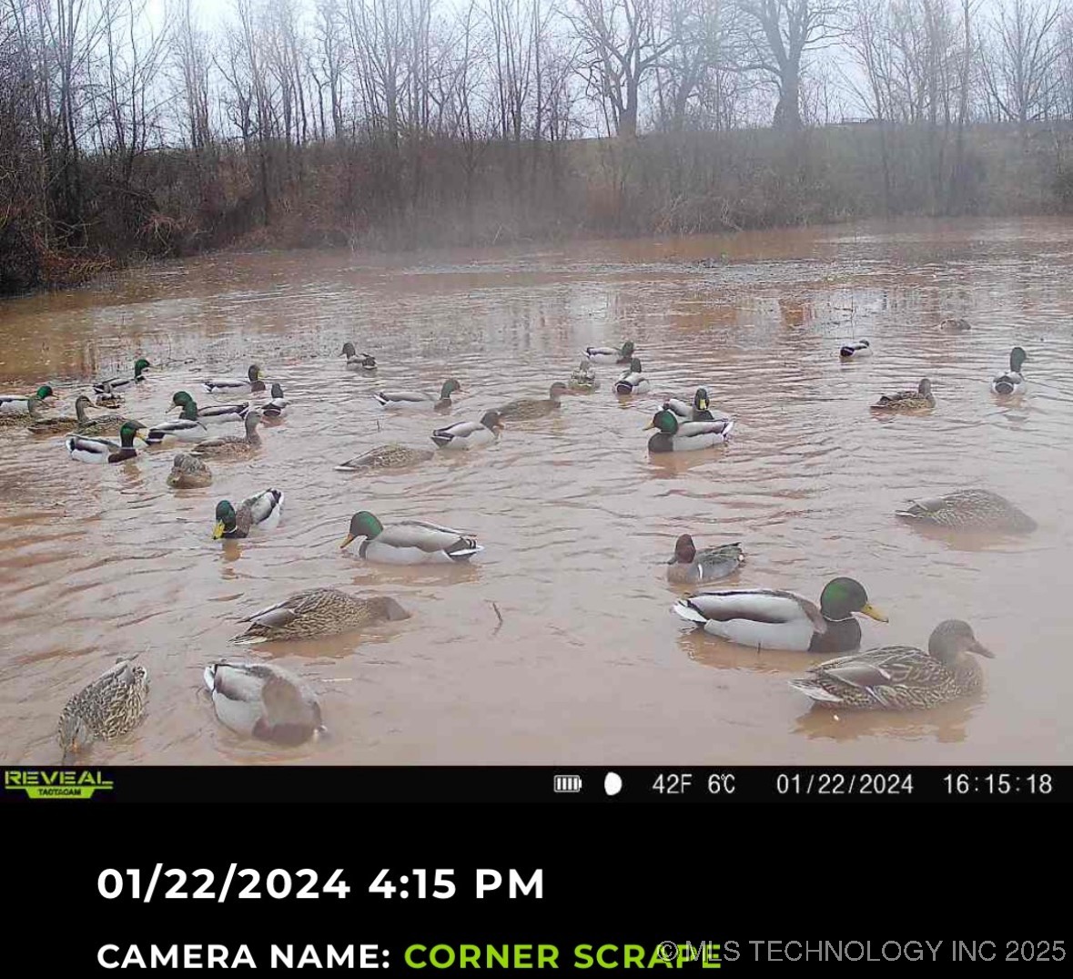 000 N 4540 Property Photo 35