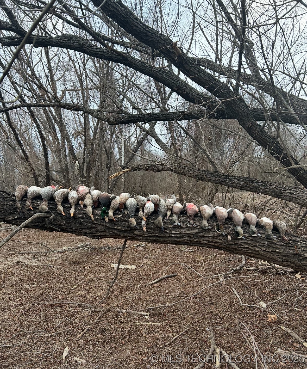 000 N 4540 Property Photo 36