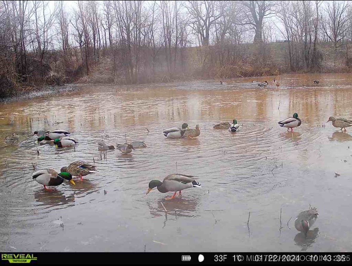 000 N 4540 Property Photo 37