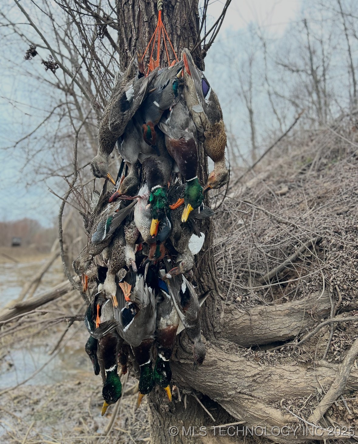 000 N 4540 Property Photo 38