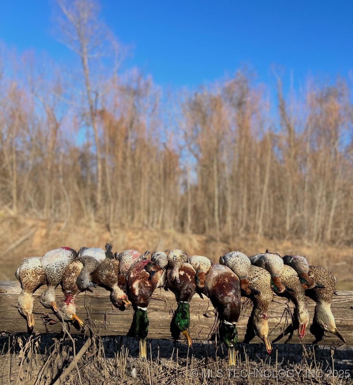 000 N 4540 Property Photo 39