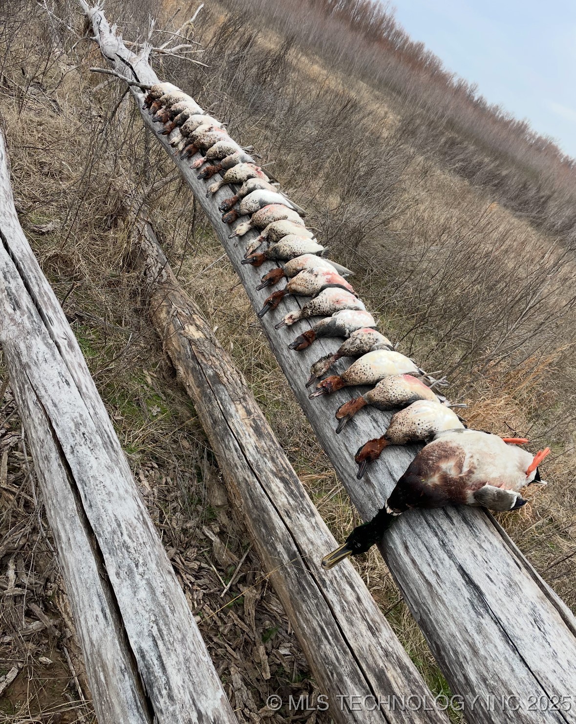 000 N 4540 Property Photo 40