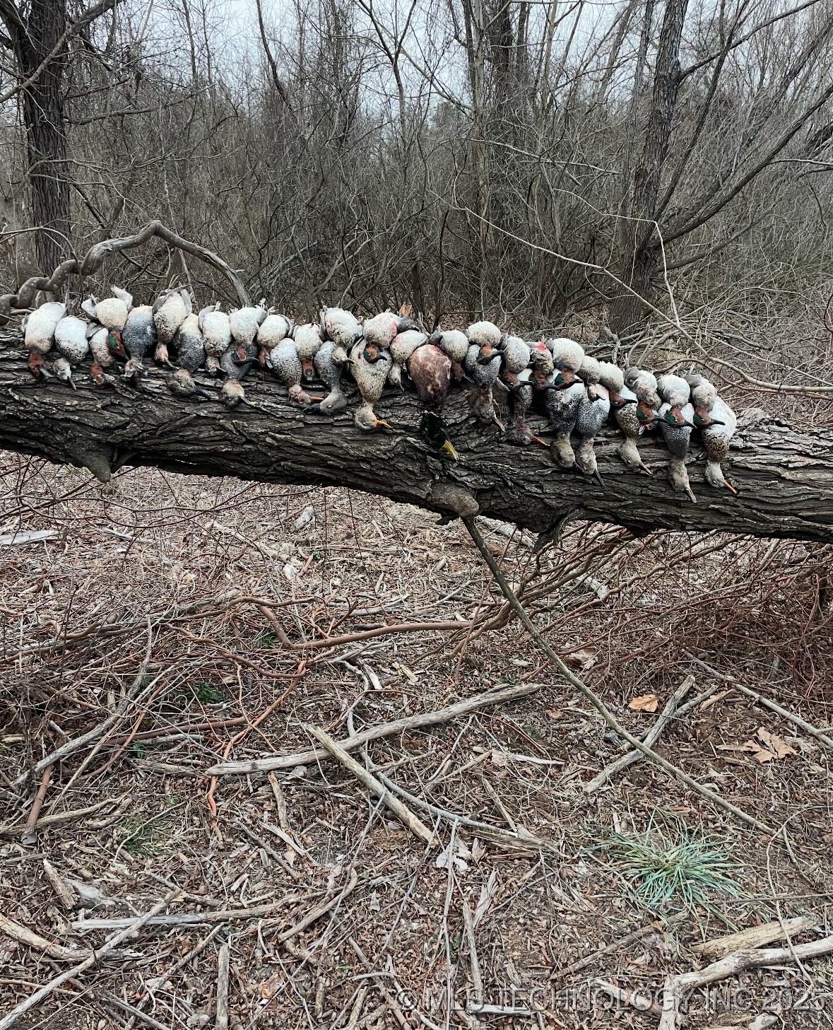 000 N 4540 Property Photo 41