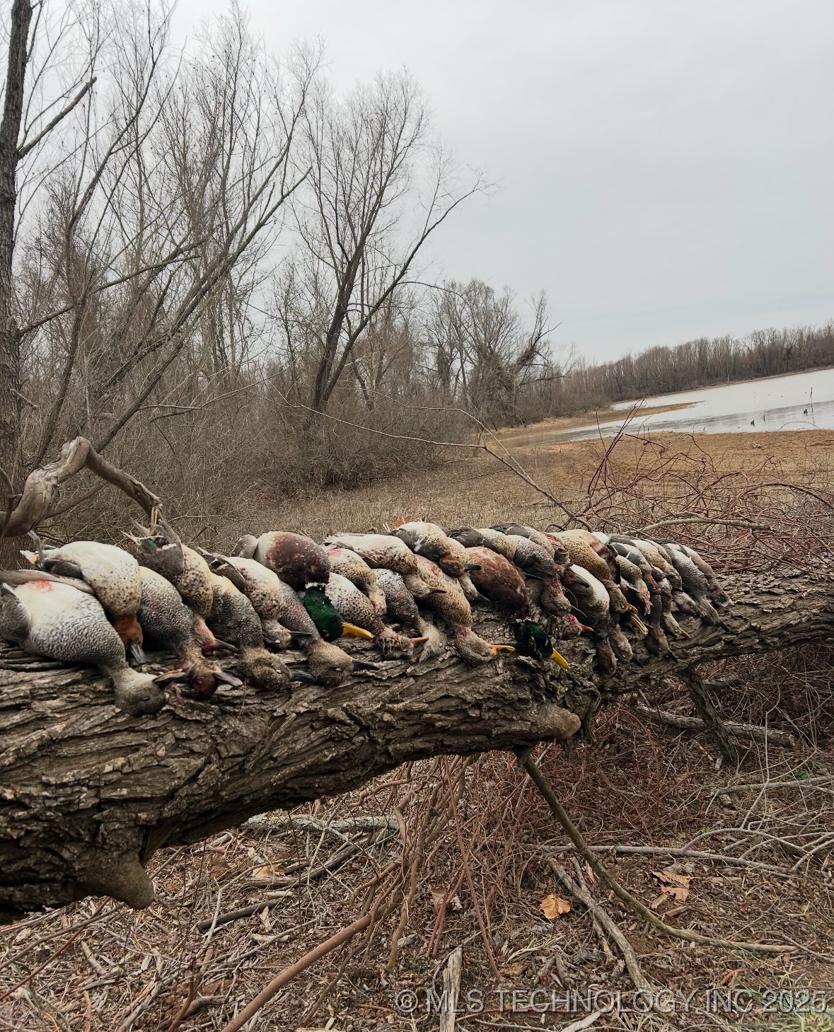 000 N 4540 Property Photo 42