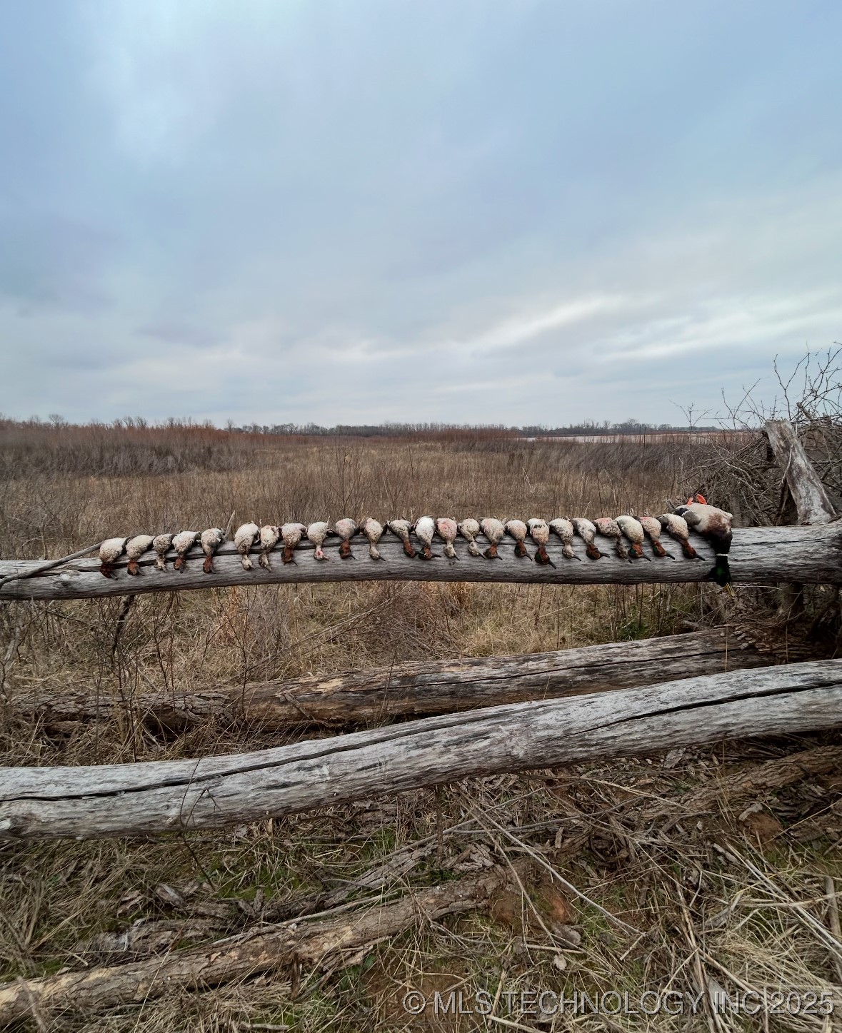 000 N 4540 Property Photo 43