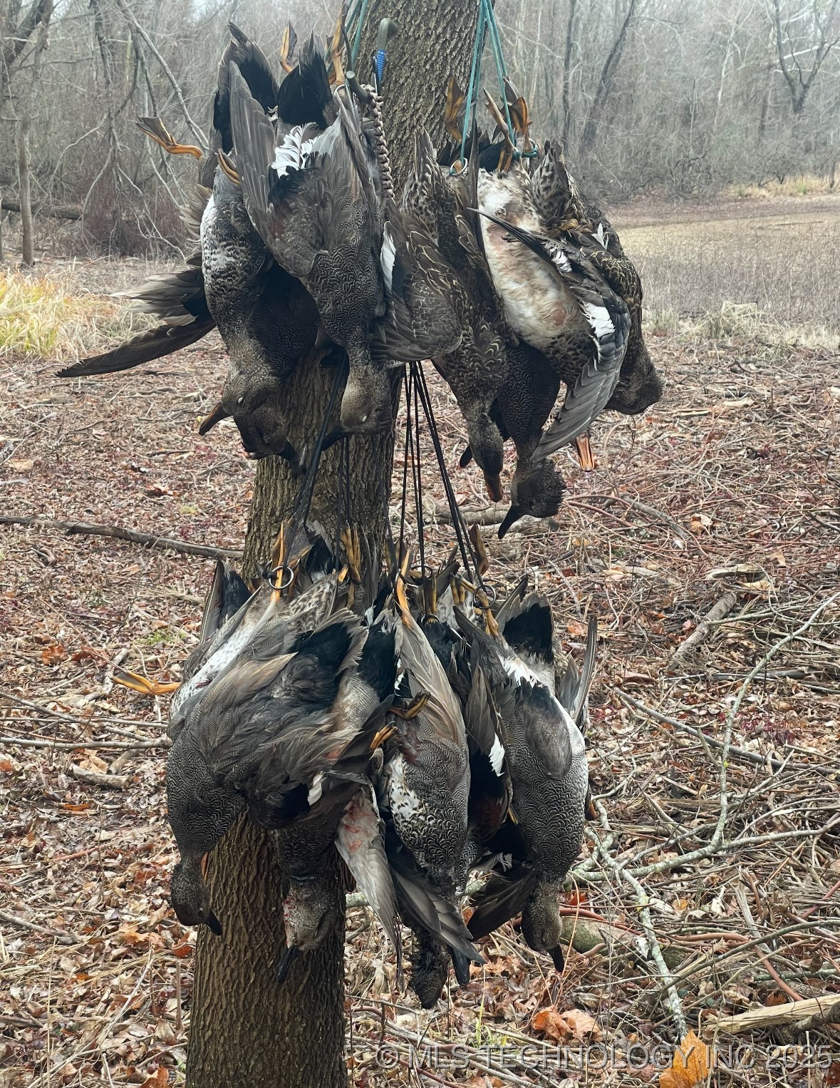 000 N 4540 Property Photo 44