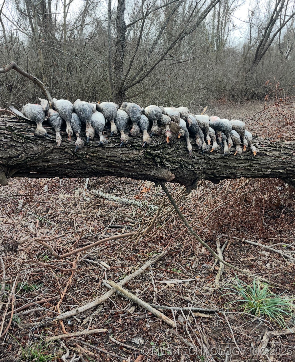 000 N 4540 Property Photo 45